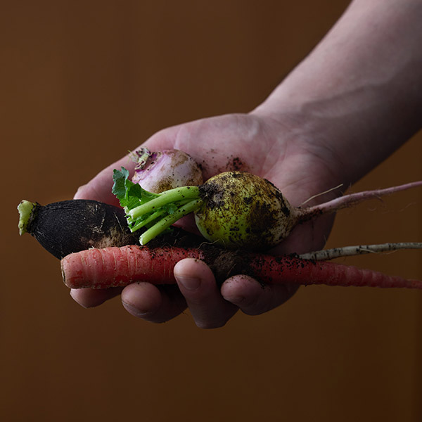 野菜を手に持つ